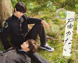 萍乡网络推广seo优化